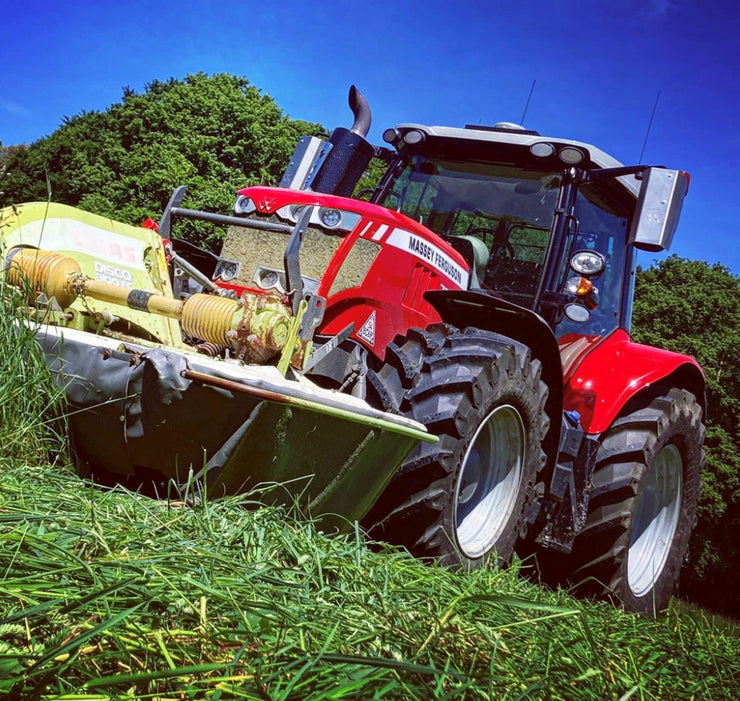 Massey Mirror Guards